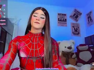 Screenshot from noahgoddes webcams