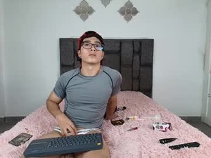 Screenshot from noahjhoness webcams