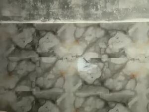 Screenshot from noface_ly_ webcams