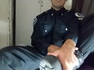 Screenshot from nofacecop webcams