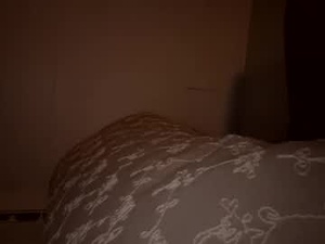 Screenshot from nohattallpen webcams