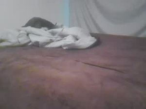 Screenshot from norty450 webcams