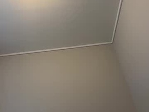 Screenshot from norviking321 webcams