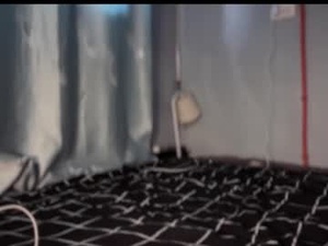 Screenshot from nova_blair0 webcams