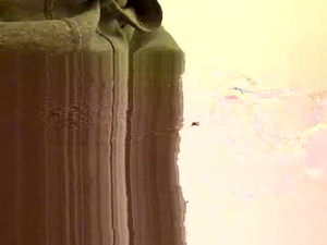 Screenshot from overicome webcams