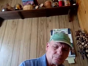 Screenshot from page1958 webcams