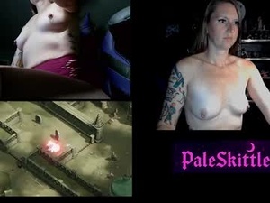 Screenshot from paleskittle webcams