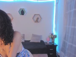 Screenshot from paloma_victory webcams
