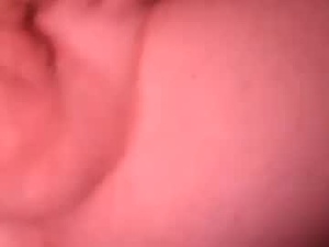 Screenshot from panda320 webcams