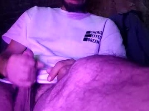 Screenshot from pandadaddys webcams