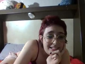 Screenshot from paradoxfactory webcams