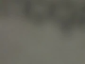Screenshot from parejita247 webcams