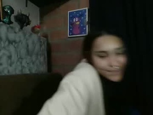 Screenshot from pau_cat webcams