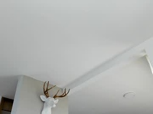 Screenshot from paul_reyborg webcams