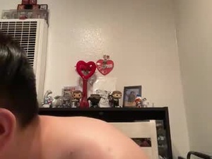 Screenshot from pdicke123 webcams