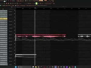 Screenshot from peppendriver webcams