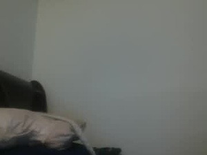 Screenshot from pgh1995 webcams