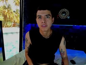 Screenshot from phetterbloss webcams