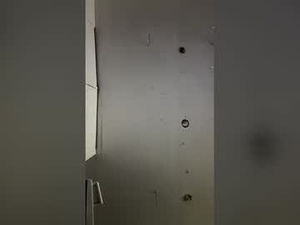 Screenshot from picklepuffs222 webcams