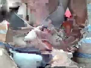 Screenshot from pinayhairyflower webcams