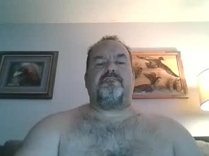 Screenshot from polarisman74 webcams