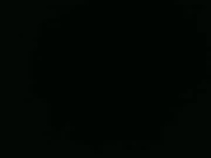 Screenshot from polecats2000 webcams