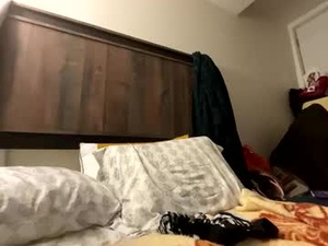 Screenshot from prancerpreet webcams