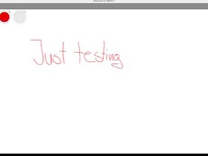 Screenshot from punkofsystem webcams