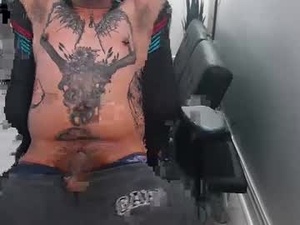 Screenshot from punksharky webcams