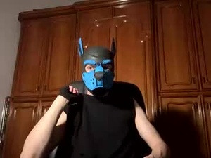 Screenshot from pup_toby webcams