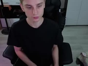 Screenshot from pvlpstvy webcams