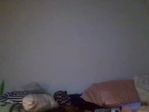 Screenshot from rackoftrans webcams