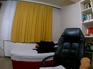 Screenshot from redwolft webcams