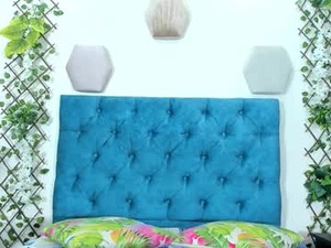 Screenshot from regina_iv webcams