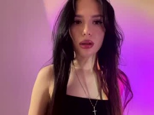 Screenshot from reginavandivier webcams