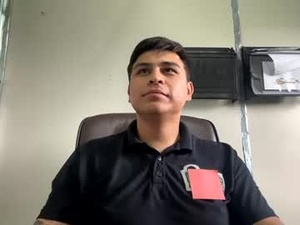 Screenshot from regio2991 webcams