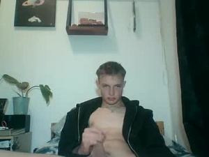 Screenshot from reynhardt webcams