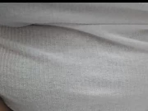 Screenshot from robbyskips webcams