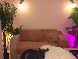 Screenshot from rose_elegantt webcams