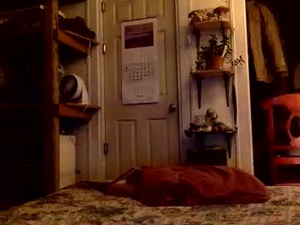 Screenshot from rp131313 webcams