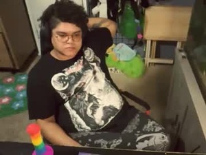 Screenshot from rudyrebel webcams