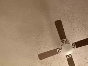 Screenshot from rwcat3006 webcams