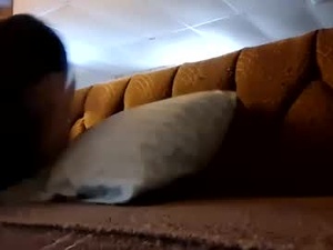 Screenshot from s49309 webcams