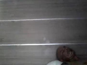 Screenshot from saintcali310 webcams