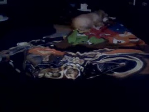 Screenshot from salopeaq webcams