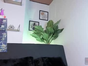 Screenshot from samarahanss webcams