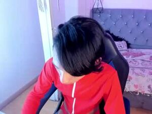 Screenshot from sangwoo_lee_ webcams