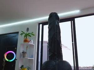 Screenshot from sapphire_mei866 webcams