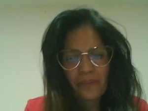 Screenshot from sarenis webcams