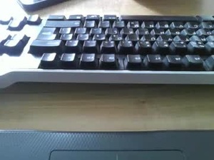 Screenshot from scalpellll webcams